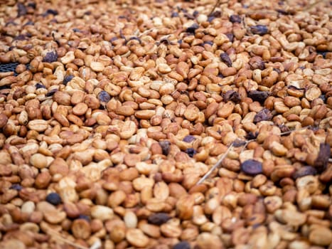 The Sun bath soft Roasted coffee beans background