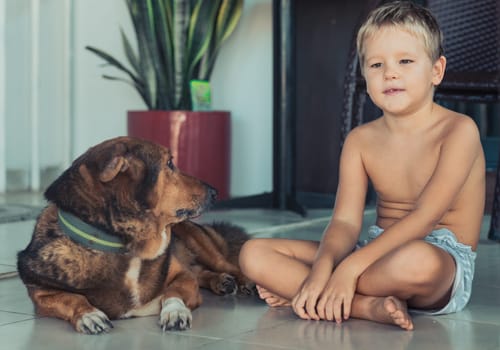Portrait of a boy with dog. Self isolation at home