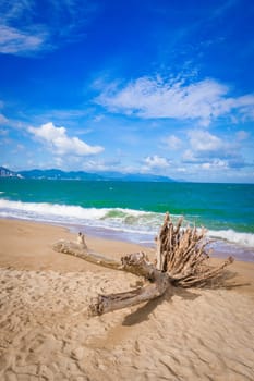 Scenic view of Nha Trang beach at sunny day. Beautiful tropical landscape. Snag on the foreground