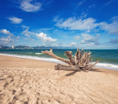 Scenic view of Nha Trang beach at sunny day. Beautiful tropical landscape. Snag on the foreground