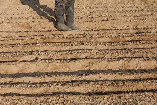 Boots on the end of land prepared for planting. On the ground made flower beds in which are planted seeds.