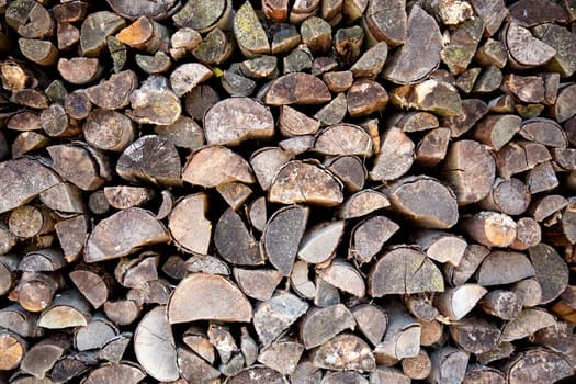 Pile of firewood in the Netherlands..