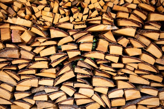 Pile of firewood in the Netherlands..