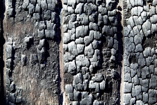 Patterned surface of burned wood..