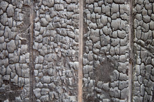Patterned surface of burned wood..