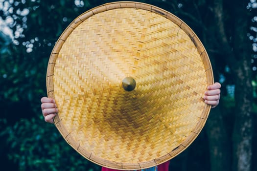 A person holding a Japanese or Chinese style hat in front of them with a blurred background