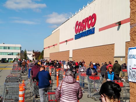 LANGLEY, CANADA - April 14, 2020. Shoppers line up at costco, in the second half of the line, to get into the store during Covid-19 on April 14, 2020.