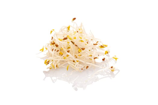 Alfalfa sprouts close-up white isolated