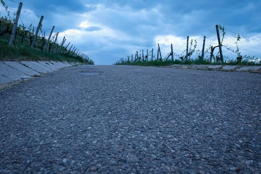 Road in a vineyard with cloudy sky low angle shot
