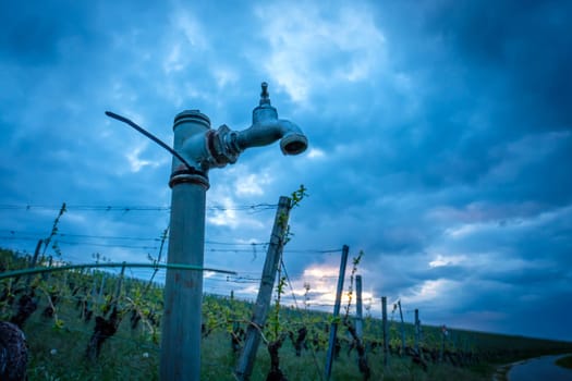Water faucet in a vineyard with cloudy sky low angle