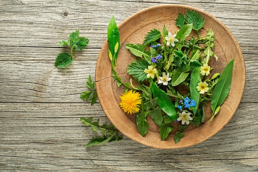 Healthy spring plants food ingredients. Dandelion, wild garlic, flowers and nettle on wooden background