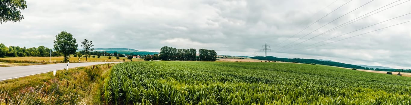 Panorama german nature meadows with cornfields in summertime North Hesse