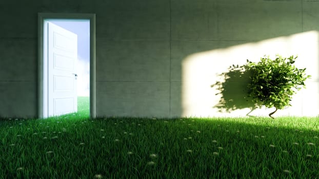 concrete wall with grass and flower floor in empty room and sunlight shadow effect on wall realistic 3D rendering