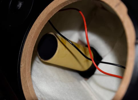 A low-frequency phaser inside the speaker system. We're taking apart the speaker.