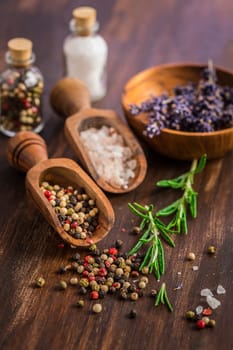 Still life with salt, pepper, fresh rosamary and lavender on wooden background