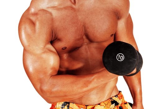 A close up image of the chest and arm of a young man working out with.a dumbbell, showing his muscles, isolated for white background.