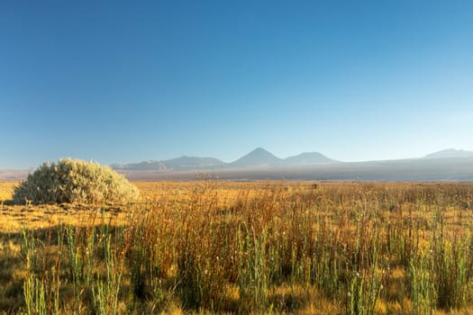 Atacama desert, Chile, Andes, South America. Beautiful view and landscape.