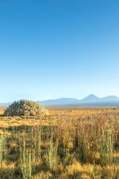 Atacama desert, Chile, Andes, South America. Beautiful view and landscape.