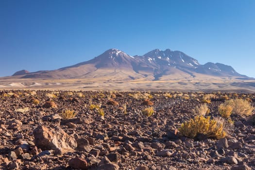 Atacama desert, Chile, Andes, South America. Beautiful view and landscape.