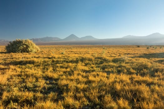 Atacama desert, Chile, Andes, South America. Beautiful view and landscape.