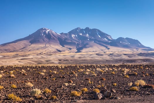 Atacama desert, Chile, Andes, South America. Beautiful view and landscape.