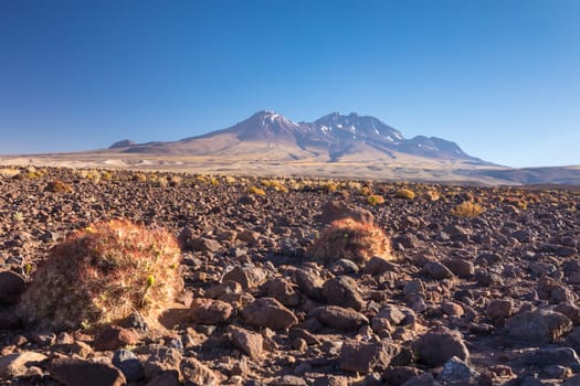 Atacama desert, Chile, Andes, South America. Beautiful view and landscape.