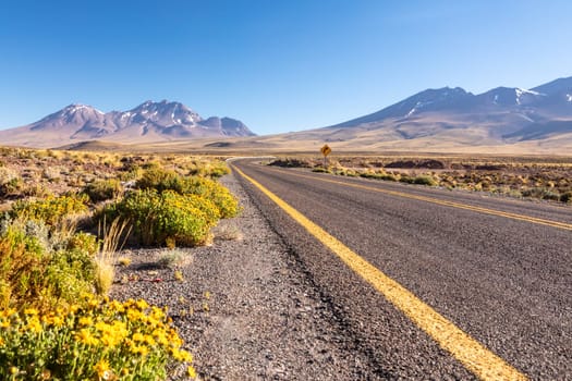 Atacama desert, Chile, Andes, South America. Beautiful view and landscape.