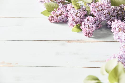 High key banner with sprays of fresh lilac blossom forming a corner border with copy space on white wood conceptual of the spring season