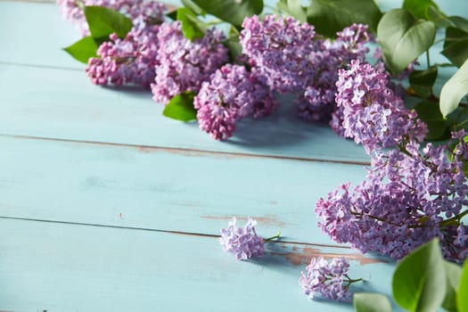 Floral springtime background with sprays of purple lilac blossom with green leaves arranged to the sides over blue wood with copy space