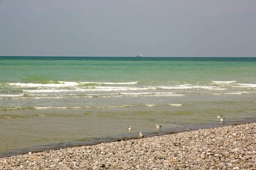 Dieppe and its famous pebbles (Normandy Seine-Maritimes). One summer day at low tide.