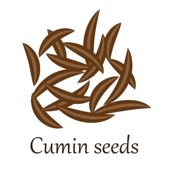 Cumin zira seeds vector illustration on a white background