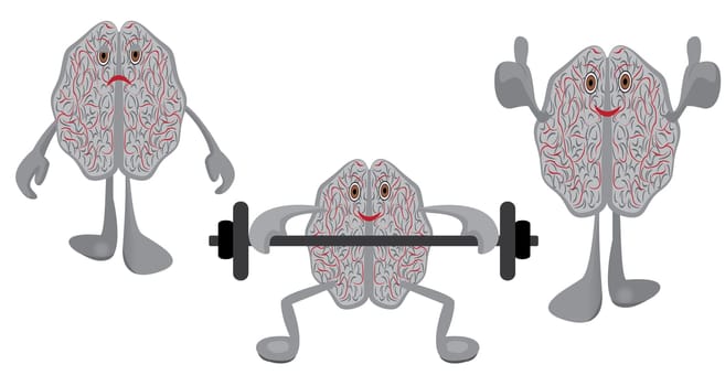 A brain affected with stress, brains having exercises with a barbell and healthy trained brain symbolizing education training intellect exercises vector illustration isolated on a white background