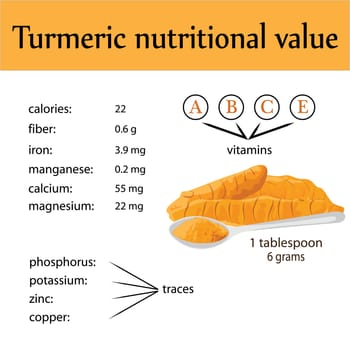Compound of vitamins and minerals in one spoon of turmeric powder vector infographics
