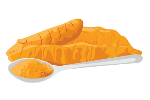 Turmeric roots and powder in in a spoon on a white background vector illustration