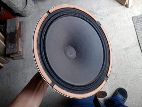 Antique Soviet woofer 5gd-3 from vintage acoustics Symphony.