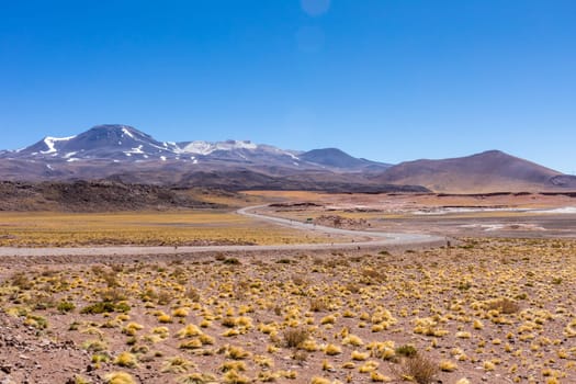 Atacama Desert, Chile. Salar Aguas Calientes. Lake Tuyacto. South America.