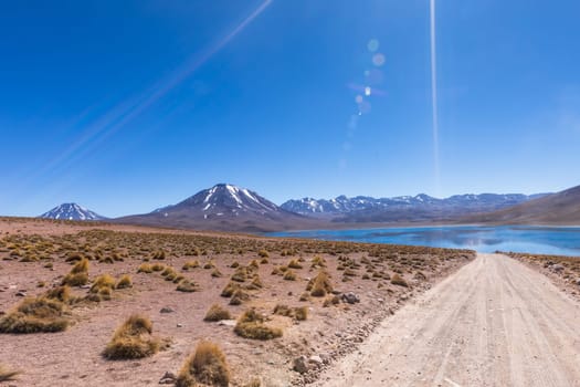 Atacama desert, Chile, Andes, South America. Beautiful view and landscape.