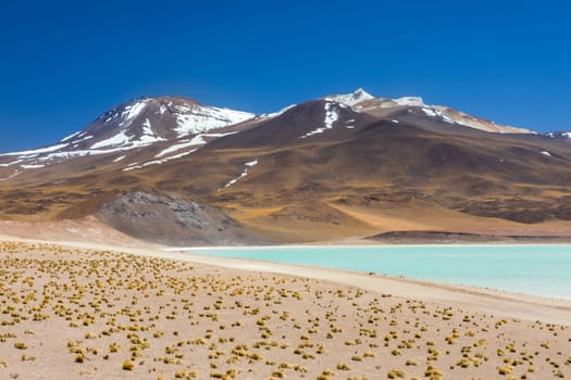 Atacama Desert, Chile. Salar Aguas Calientes. Lake Tuyacto. South America.