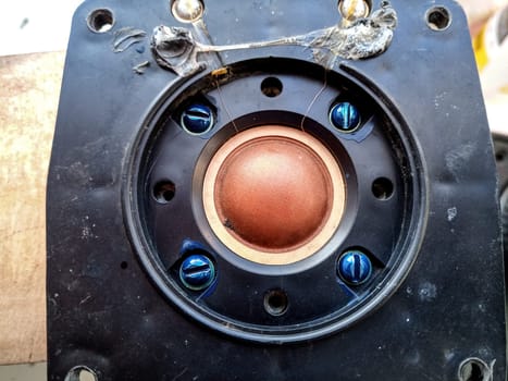 Speaker repair, disassembled speaker. High-frequency speaker 10gdv-2-16 on a white background. A component of a three-way speaker system.