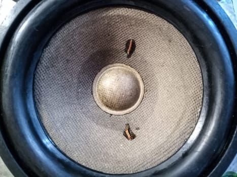 Medium-frequency speakers 20gds-3. Soviet vintage acoustics, elements of a music column.