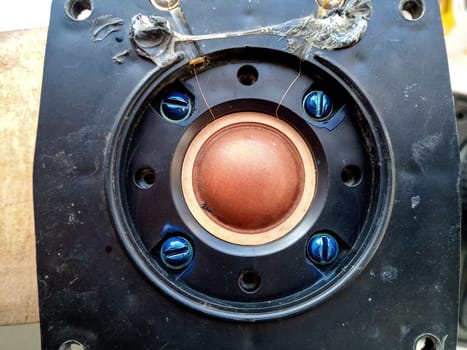 Speaker repair, disassembled speaker. High-frequency speaker 10gdv-2-16 on a white background. A component of a three-way speaker system.