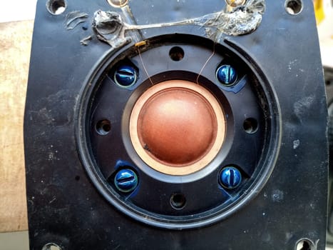 Speaker repair, disassembled speaker. High-frequency speaker 10gdv-2-16 on a white background. A component of a three-way speaker system.
