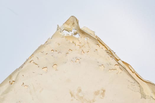 Paper swallowed with silverfish. Traces of wrecking silverfish on vinyl envelopes. lepisma