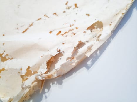 Paper swallowed with silverfish. Traces of wrecking silverfish on vinyl envelopes. lepisma