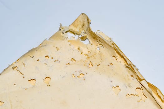 Paper swallowed with silverfish. Traces of wrecking silverfish on vinyl envelopes. lepisma