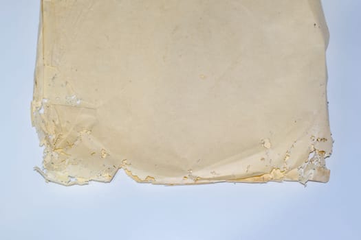 Paper swallowed with silverfish. Traces of wrecking silverfish on vinyl envelopes. lepisma