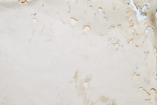 Paper swallowed with silverfish. Traces of wrecking silverfish on vinyl envelopes. lepisma