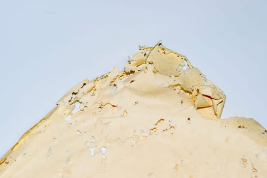 Paper swallowed with silverfish. Traces of wrecking silverfish on vinyl envelopes. lepisma
