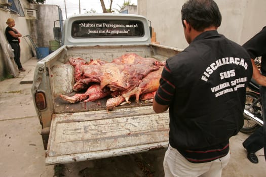 eunapolis, bahia / brazil - setembro 10, 2010: Sanitary Surveillance inspectors discard bollina meat from clandestine slaughter and without consumption conditions.