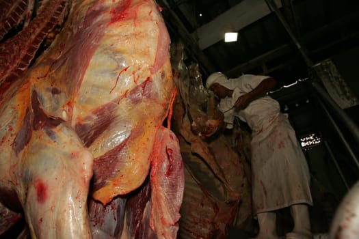 eunapolis, bahia / bahia - setembro 1, 2010: slaughterhouse employee is seen doing meat processing of slaughtered bollino in Eunapolis city.